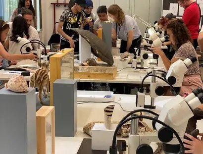 Mikroskopworkshop im Museum für Naturkunde Berlin