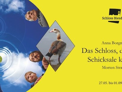 e_283edcdfaa93c8017e5bbb3cc3cd04b8_img-hopop