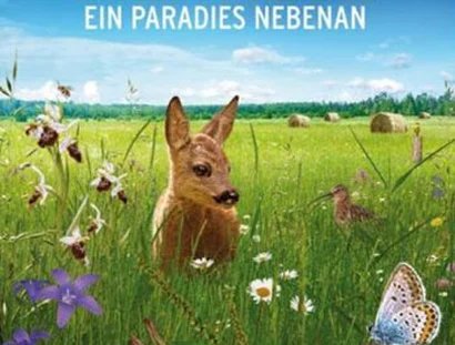 Filmplakat „Die Wiese – Ein Paradies nebenan“ von Jan Haft