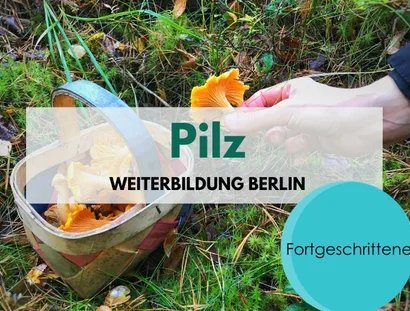 Pilz Weiterbildung für Fortgeschrittene