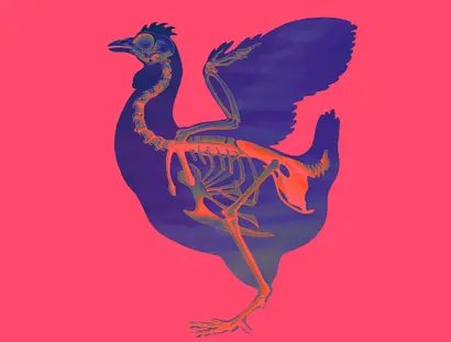 e_3f9f4c7898a6cd64d6927e57ec8e3e85_img-hopop