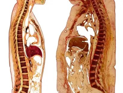 KÖRPERWELTEN Museum Berlin