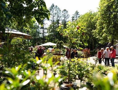 Gartenträume auf der Rennbahn Hoppegarten