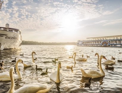 Symbolfoto Tegeler See