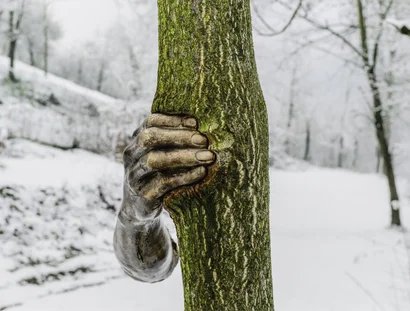 Giuseppe Penone, "Toccare il tempo (To Touch the Time)", 2004-2008