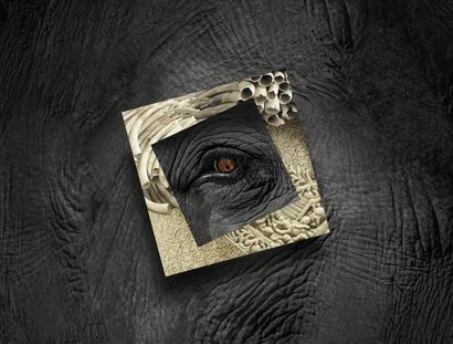 Key Visual schrecklich schön