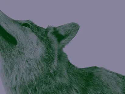 VISUAL Nature and German History