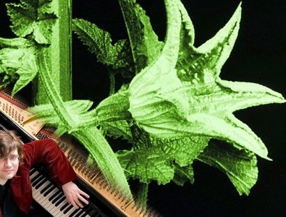 e_779d6880ce7ccfff910defe334f9f4d5_img-hopop