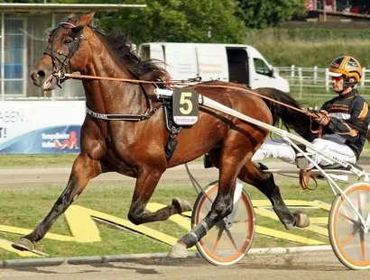 Der Österreicher Thomas Royer beim Fritz-Brandt-Rennen