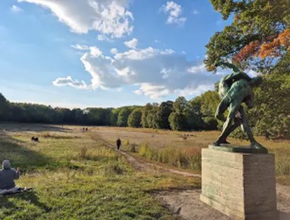 Der Volkspark Rehberge - Von der Ringer- zur Wildbienenwiese