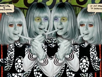 Roses Rising – The Dinner