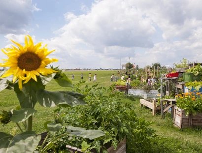 Garten auf dem Tempelhofer Feld