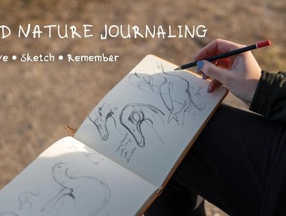 Naturtagebuch für Vogelbeobachter