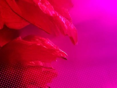 Grafik Header Spielzeit 25/26