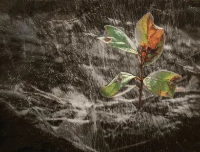 Ich bin da, trotzdem - hörst Du?