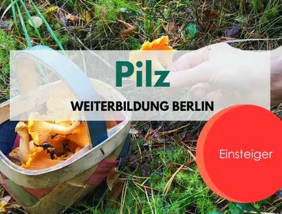 Pilz Weiterbildung für Einsteiger:innen