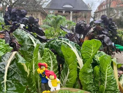 Heckenwesen 2026, Foto: Laureline van den Heuvel