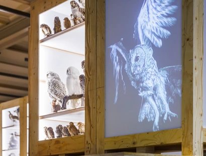 Sonderausstellung Zukunftsplan & ZUGvögel