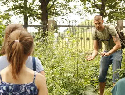 e_f1618ba5ef7d69c3ed981b008b975e2b_img-hopop