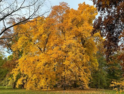 Botanischer Garten