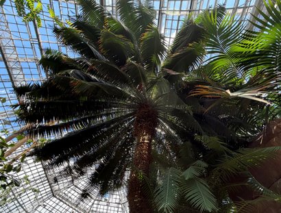Botanischer Garten
