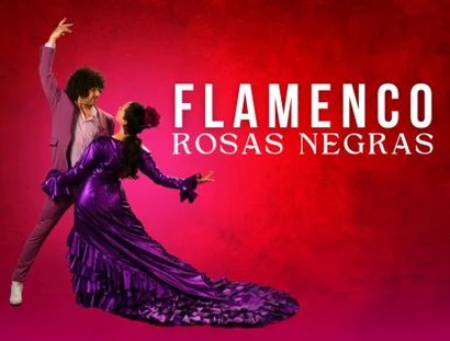 FLAMENCO • Philharmonie • 5. Juni