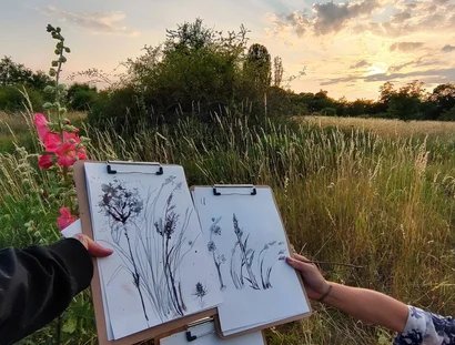 Kratic-Workshop zum experimentellen botanischen Zeichen auf dem Tempelhofer Feld