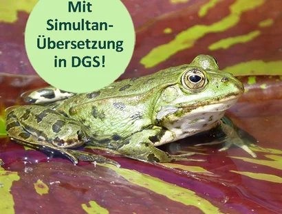 genid-66bd5bdb641047d8ad0a83edd26b83f523896206-b5