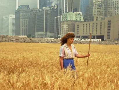 Agnes Denes: Wheatfield, 1982, Film, Für "Wheatfield - A Confrontation: Battery Park Landfill, Downtown Manhattan - With Agnes Denes Standing in the Field, 1982"