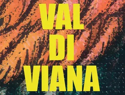 Valdiviana von Birgit Heitfeld, Collage aus Elementen des Buchcovers, Gestaltung des Covers: Coco Meurer, Literaturensohn