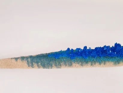 WHAT IS CARRIED? by Oana Știrbu