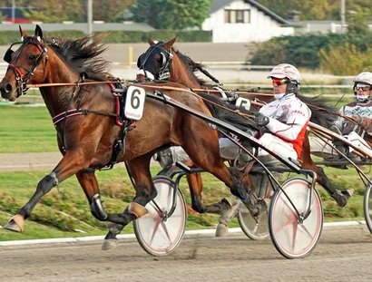 Start frei für das Traber-Derby