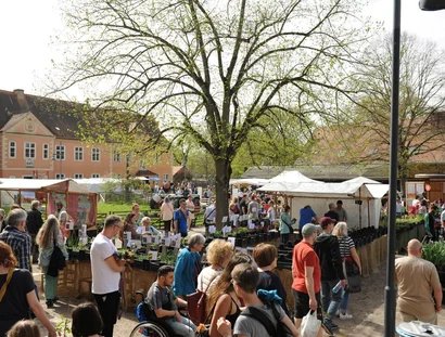 Berliner Staudenmarkt
