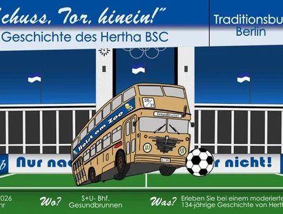 Schuss, Tor, hinein!