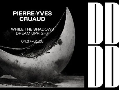 While the Shadows Dream Upright