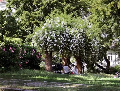 Helmholtzplatz im Sommer