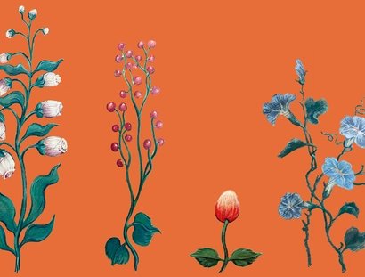 Blumenmotive auf einem Cembalo
