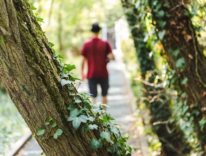 Botanischer Streifzug im Natur Park Südgelände
