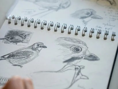 Skizzentagebuch für Vogelbeobachter