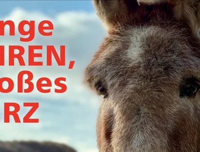 Lange Ohren, großes Herz