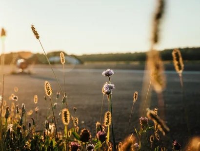 Sch(l)au genau: Geheimnisvolle Wunderpflanzen – Workshop für Schulklassen 2-10