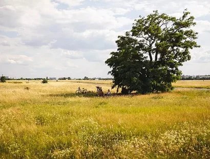 Wurzeln und Horizonte - Stadtboden unter dem Feld