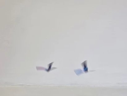 Papier in Bewegung