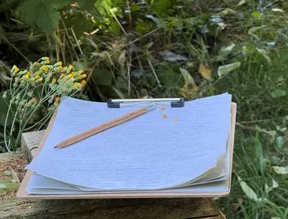 Nature Writing - einfach ausprobieren!