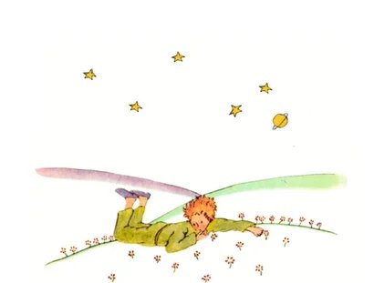 Der kleine Prinz 