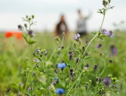 Weites Feld - Weites Denken - Ein philosophischer Spaziergang auf dem Tempelhofer Feld