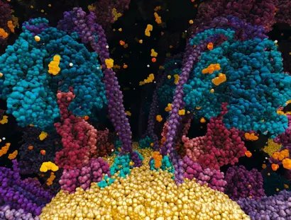 Cell structure from "Chemistry of Life"