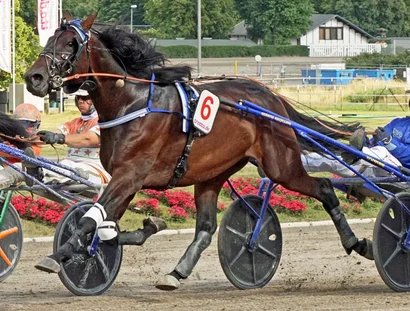 Adbell-Toddington-Rennen