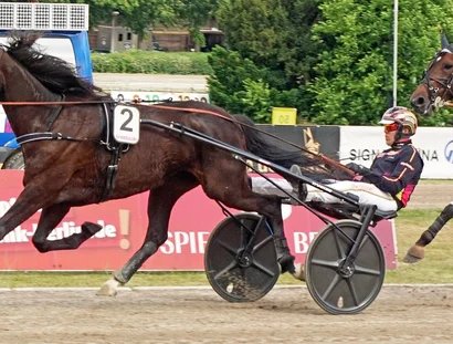 Robin Bakker und Blizzard Diamant