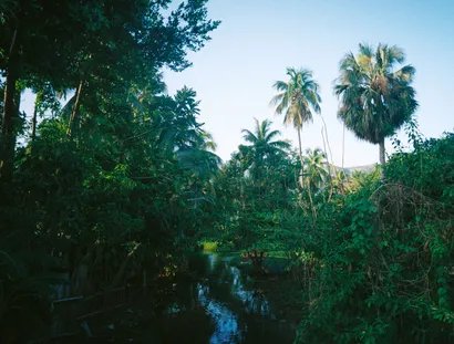 Yann Olivier Kersaint, Vision Tropicale, Petite Rivière des Nippes, Haiti, 2026